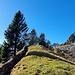 Massive Trockensteinmauer, östlicher Abschnitt