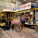 Unterwegs im Crich Tramway Village - In der Ausstellungshalle befinden sich u. a. die Pferdebahnwagen Chesterfield Tramways Company No. 8 und Leeds horse tram No 107 (Leeds Transport Historical Society) sowie ein wunderschönes Kunst-Perd ;-)<br /><br />