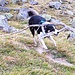 Skip in "Äkschen"