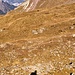 ... folgte ich noch ein Stück dem Wanderweg Richtung Erdisgulmen.<br />Auf der Höhe P.2102 dann weglos steil hoch Richtung Erdiselli