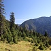 Rückblick Richtung Kuchlberghütte