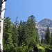 kleine Lichtung mit großem Ausblick