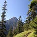 unterwegs in den schönen Ammergauer Alpen