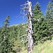unterwegs in den schönen Ammergauer Alpen