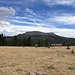 Greenhorn Mountain bei der Anfahrt
