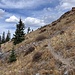 Pfad zum Sattel vor dem North Peak