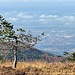 Tiefblick auf Achern