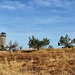 Bismarckturm im Herbst