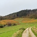 Einladendes Wandergelände hinter Neusatz