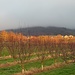 Hin und wieder bahnt sich die Sonne den Weg durch die Nebelschicht