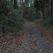 der breite Weg...