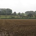 Hier sieht man, was die weitere Wanderung beeinflusst hat.