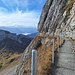 auf dem Weg zum Tomlishorn