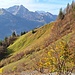 Rückblick durch ein bisschen Herbstlaub zur Laubegg