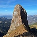 Sauglatt: Glattchamm
