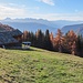 Herbst