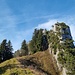 Auf der Wänifurggel