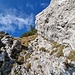 Partie mit Stahlseil wenig unter dem Gipfel des Chöpfenberg