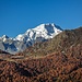 Monte Disgrazia