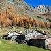 Alpe Musella