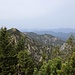 Rückblick