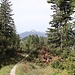 schöner Pfad