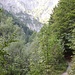 hinein in die Wolfsschlucht