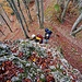 Die hier ansetzende erste Kletterpassage hinauf auf den Grat ist im Grunde ganz einfach, ein leichter Zweier höchstens. Ich ging voraus, stieg auf einen Absatz und machte mich dann an den nächsten Aufschwung. Und rutschte. Dreimal. Dreimal zu viel. Entscheid: zu nass. Umkehren.