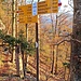 ... in den Sattel Gerstelflue (810m). Dort nahmen wir den unbeschilderten, aber markierten Zickzackweg links hinunter ins Tal.