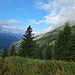 Der Nebel verzieht sich 