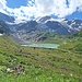 Steisee