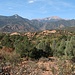 Blick zum Pikes Peak