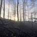 Herbstlichter
(Foto: Schubi)