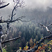 Talblick.
(Foto: Schubi)