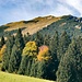 Kühgundspitze (1852 m) in Herbstfarben.