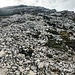 Im Schuttreich der Rohnenspitze.