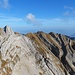 nochmals der Altmann und Moor vom Gipfel Schofberg aus gesehen