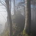 Mystisch.... Fortsetzung mit Bildern im <a href="https://www.hikr.org/tour/post190761.html" target="_blank">Hauptbericht</a>

