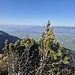 Blick nach Tuggen 