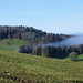 im Tal noch Nebel