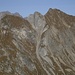 Omeshorn