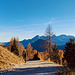 Im tollen Herbstlicht geht es mit dem Bike wieder hinunter