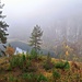 Foto vom 10.11.2024 mit Herbstfarben