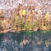Foto vom 10.11.2024 mit Herbstfarben