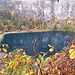 Foto vom 10.11.2024 mit Herbstfarben