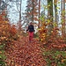 Wandern auf einem Blätterteppich