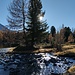 Lagh da Val Viola