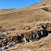 Dalla malga la strada sembra cessare, ma con una ripida discesa su sentierino si solca il rio tramite ponticello, che precede la risalita finale al Pass de Val Viola.
