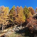 En montant à Gspon