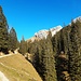 Nach der Alp Fränkmüt geht es durch ein liebliches Tal hinauf in Richtung zum Matthorn. Sonne hat dieser südseitige Aufstieg oftmals.